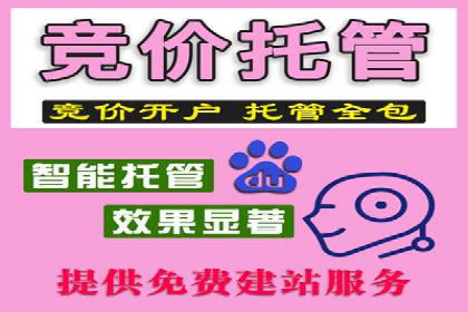 SEM代运营案例：品牌影响力提升
